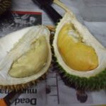 Durian untuk Bayi dan Balita