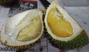 Durian untuk Bayi dan Balita