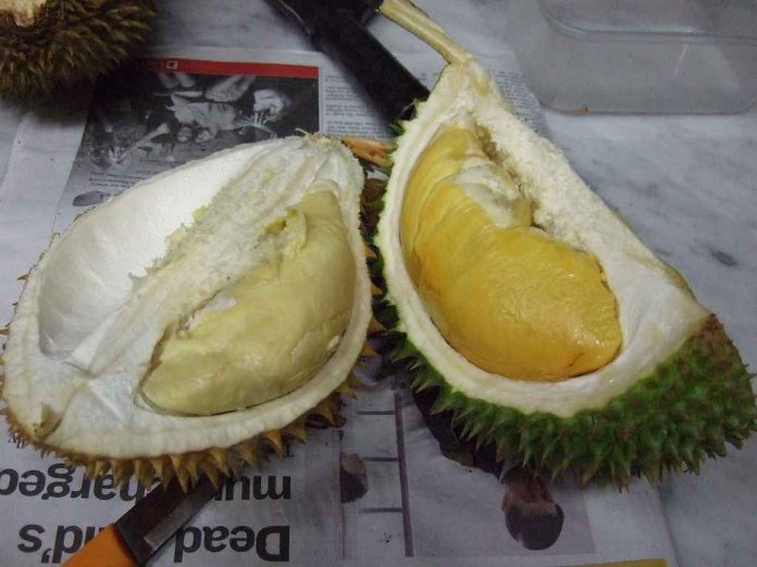 Durian untuk Bayi dan Balita