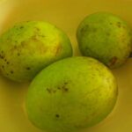 Manfaat buah bacang untuk kesehatan