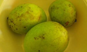 Manfaat buah bacang untuk kesehatan