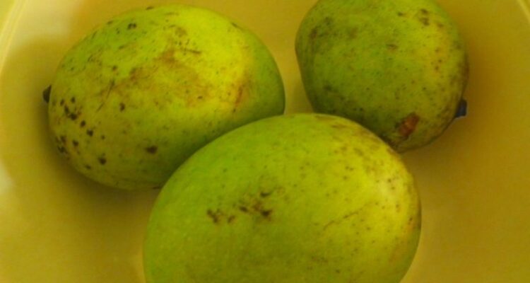 Manfaat buah bacang untuk kesehatan